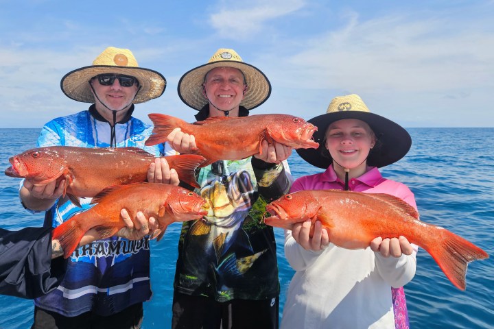 Three people holding red fish in a boat on the ocean, wearing hats and colorful shirts.