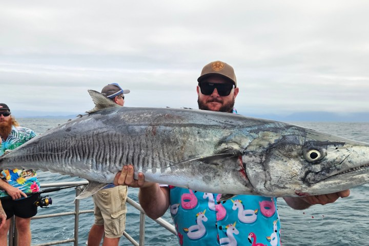 Man on boat holding large fish, wearing colorful shirt and cap, with ocean in background.