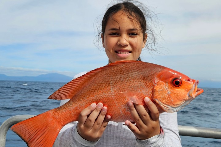 Person holding a large red fish on a boat with ocean in the background.