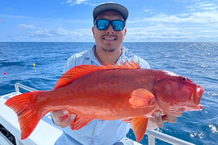 a person holding a fish standing on a boat on the water
