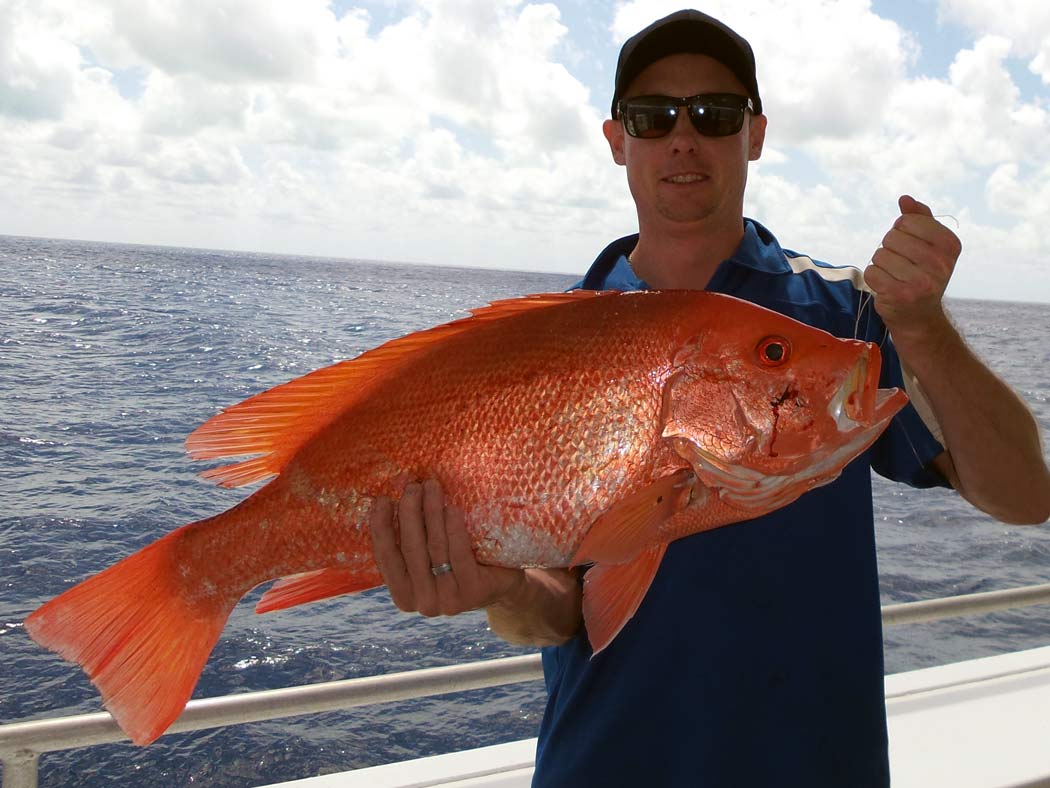 a man holding a large nannygai fish in the water